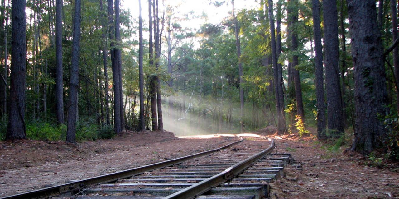 Ride the train at the Southern Forest Heritage Museum